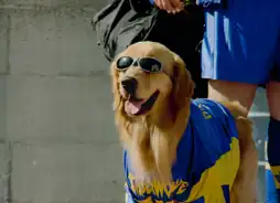 Watch and Download Air Bud: World Pup 7