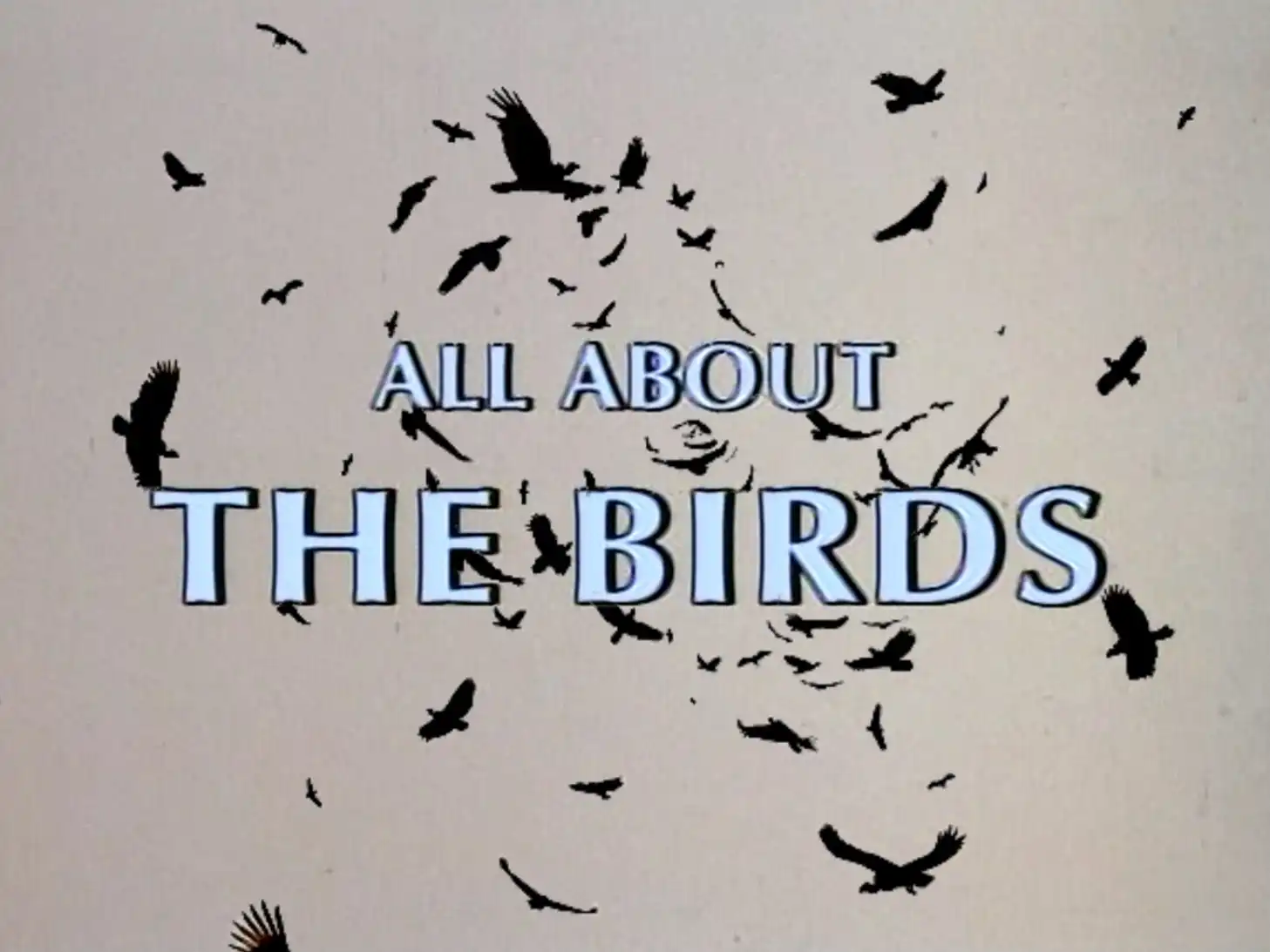 Watch and Download All About 'The Birds' 2
