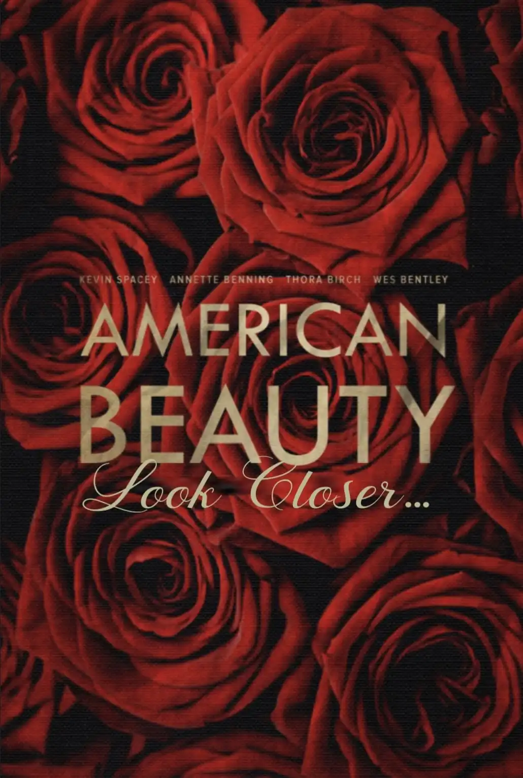 Watch and Download American Beauty: Look Closer…