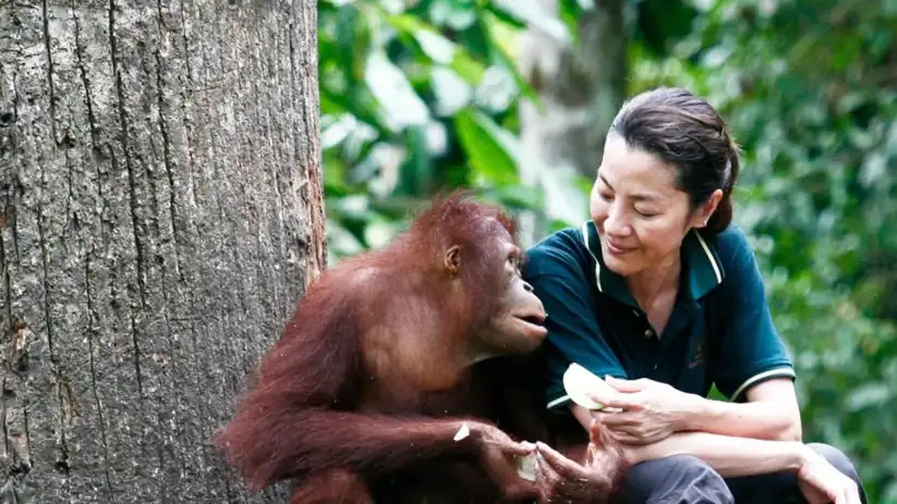 Watch and Download Among the Great Apes with Michelle Yeoh 1