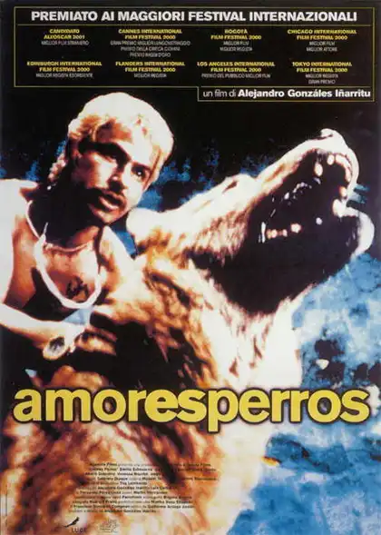 Watch and Download Amores Perros 11