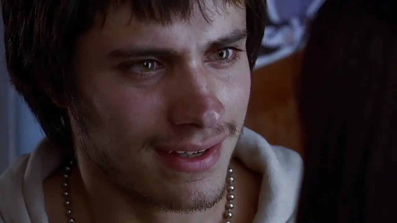 Watch and Download Amores Perros 4