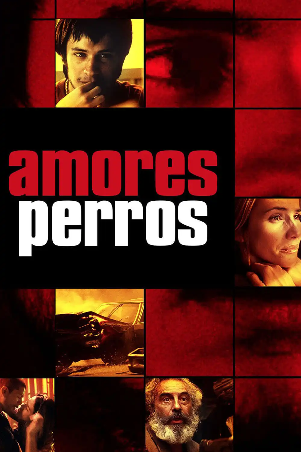 Watch and Download Amores Perros