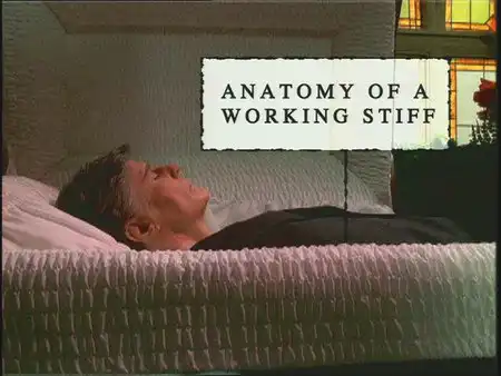 Watch and Download Anatomy of a Working Stiff 1