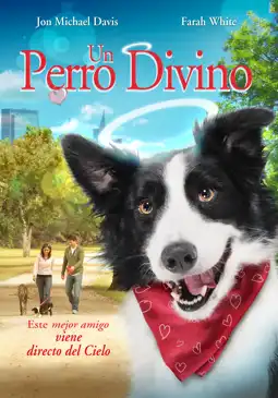 Watch and Download Angel Dog 2