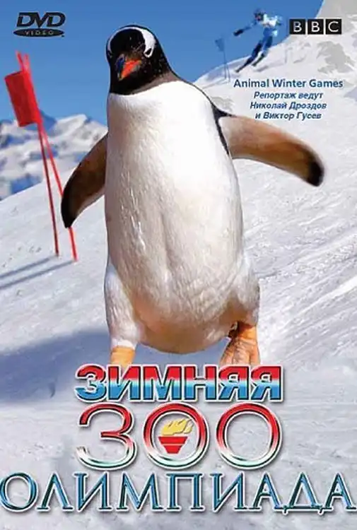 Watch and Download Animal Winter Olympics 1