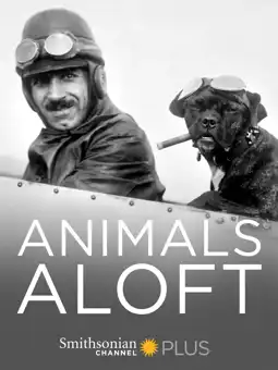 Watch and Download Animals Aloft 3