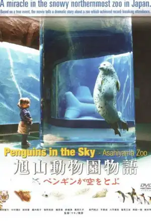 Watch and Download Asahiyama Zoo Story: Penguins in the Sky 2