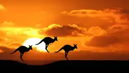 Watch and Download Australia: Land Beyond Time 1