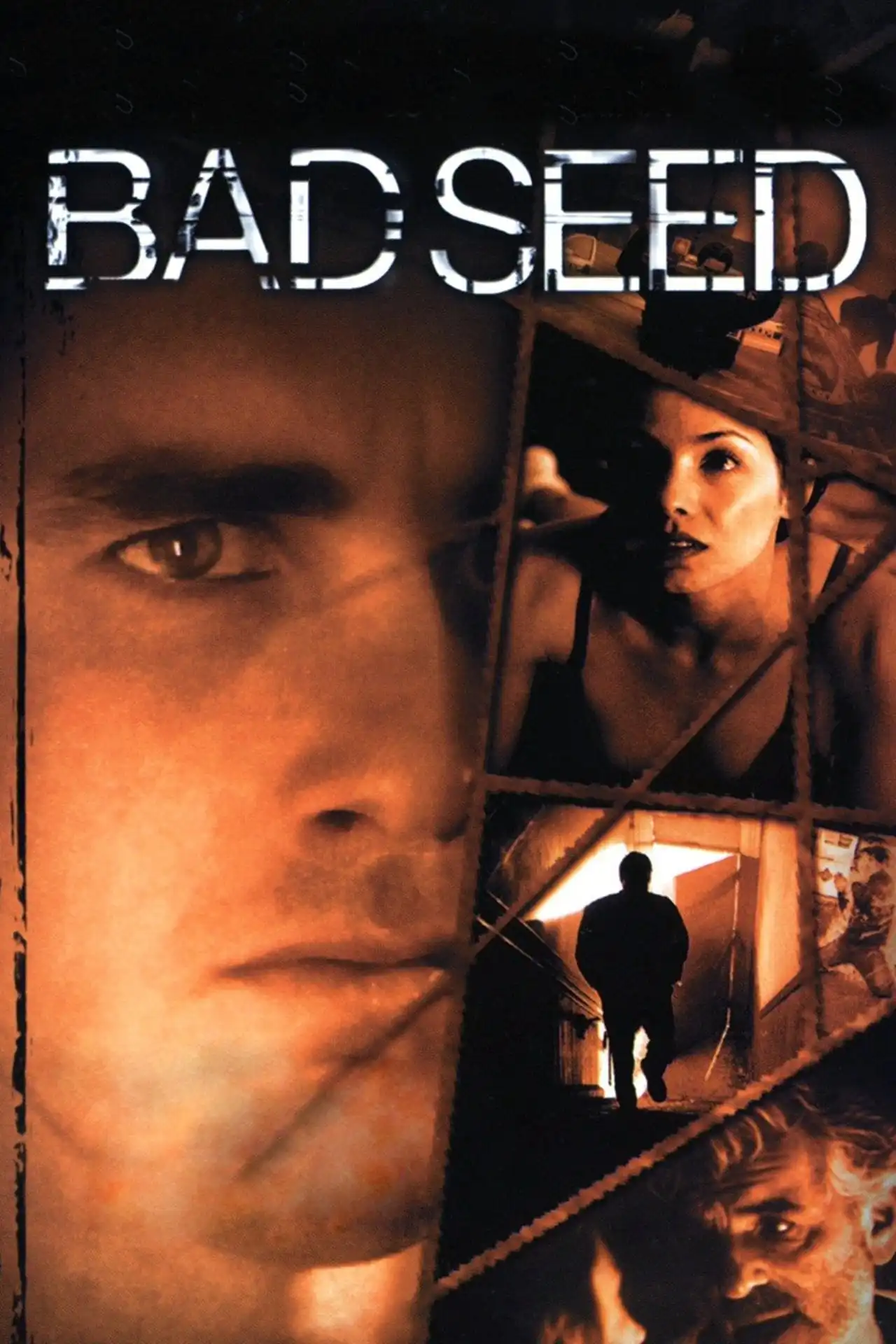 Watch and Download Bad Seed 4