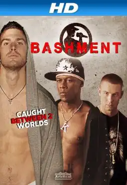 Watch and Download Bashment 9