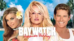 Watch and Download Baywatch: Hawaiian Wedding 1