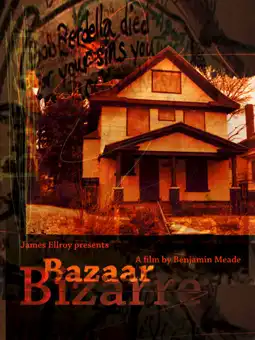 Watch and Download Bazaar Bizarre: The Strange Case of Serial Killer Bob Berdella 2