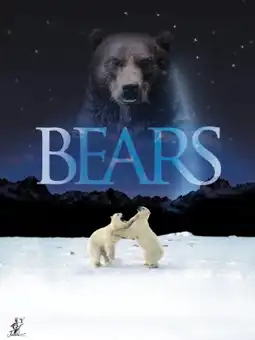 Watch and Download Bears 2