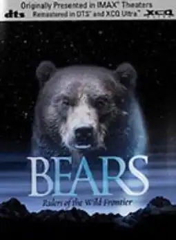 Watch and Download Bears 3