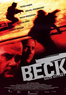 Watch and Download Beck 16 - The Last Witness 5