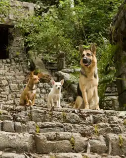 Watch and Download Beverly Hills Chihuahua 12