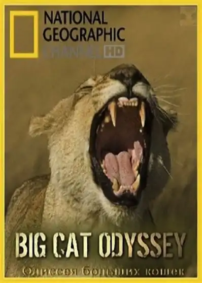 Watch and Download Big Cat Odyssey 2