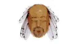 Watch and Download Bill Bailey: Tinselworm 1