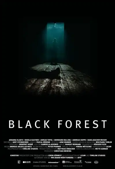 Watch and Download Black Forest 2