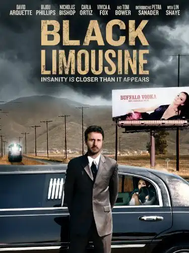 Watch and Download Black Limousine 1