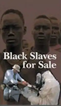 Watch and Download Black Slaves for Sale 1