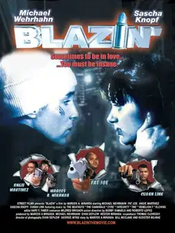 Watch and Download Blazin' 2