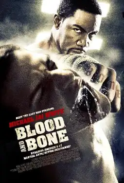 Watch and Download Blood and Bone 4