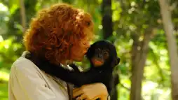 Watch and Download Bonobos: Back to the Wild 1