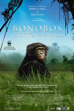 Watch and Download Bonobos: Back to the Wild 11