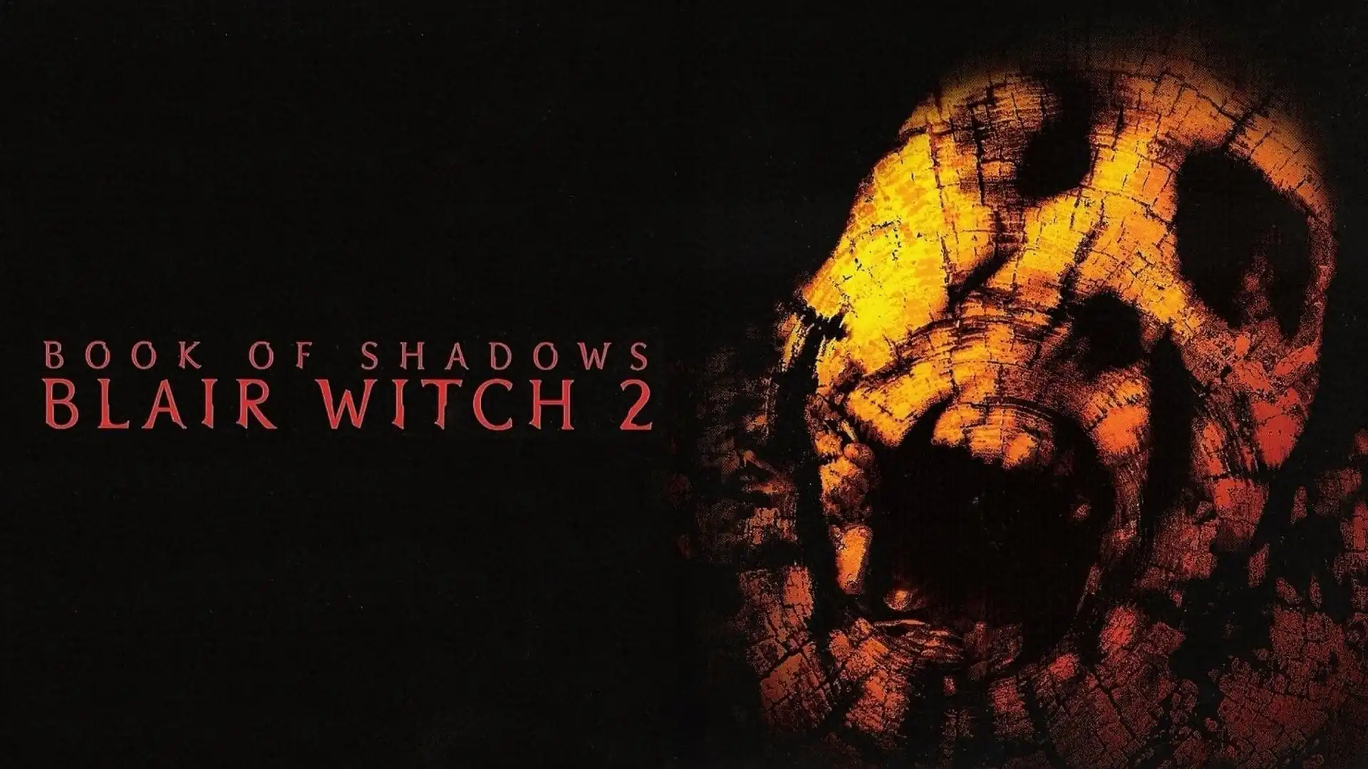 Watch and Download Book of Shadows: Blair Witch 2 2