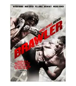 Watch and Download Brawler 9