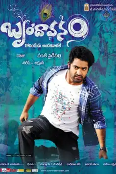 Watch and Download Brindavanam