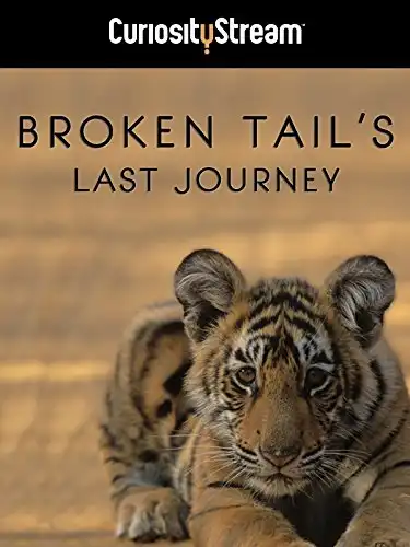 Watch and Download Broken Tail 1