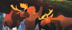 Watch and Download Brother Bear 4