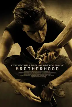 Watch and Download Brotherhood 12