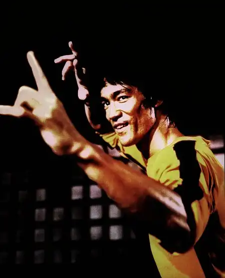 Watch and Download Bruce Lee: A Warrior's Journey 4