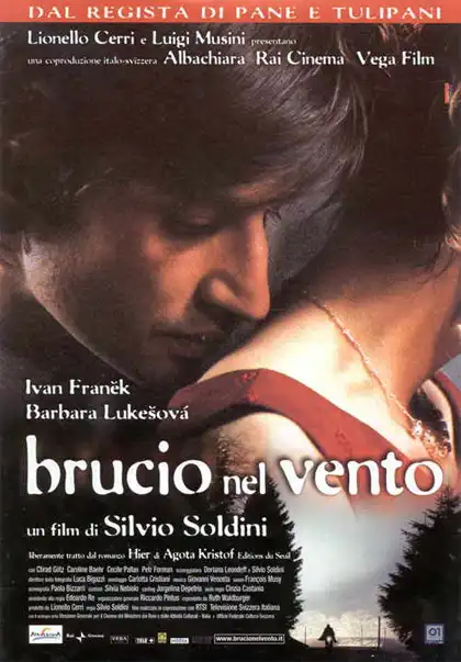 Watch and Download Brucio nel vento 4