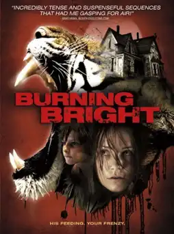 Watch and Download Burning Bright 11