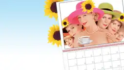 Watch and Download Calendar Girls 2