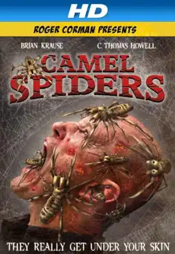 Watch and Download Camel Spiders 9