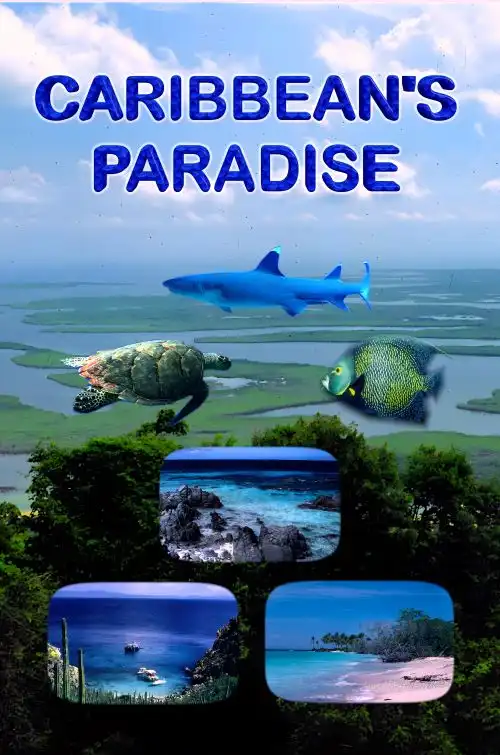 Watch and Download Caribbean's Paradise 1