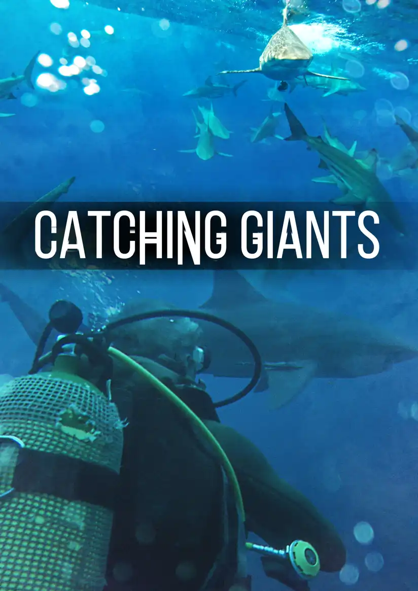 Watch and Download Catching Giants: Zambezi Shark 1