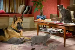 Watch and Download Cats & Dogs: The Revenge of Kitty Galore 15