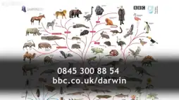 Watch and Download Charles Darwin and the Tree of Life 6