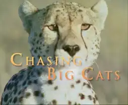 Watch and Download Chasing Big Cats 2