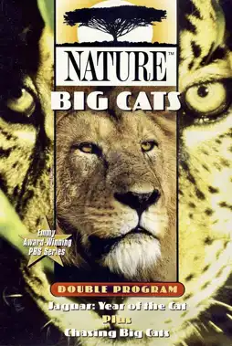 Watch and Download Chasing Big Cats 3