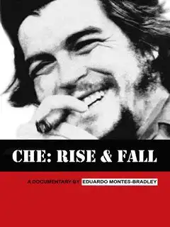 Watch and Download Che: Rise and Fall 2