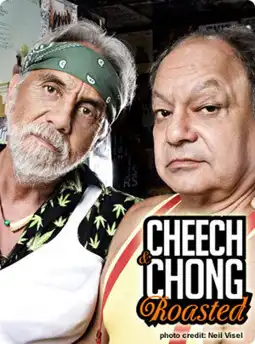 Watch and Download Cheech & Chong Roasted 2