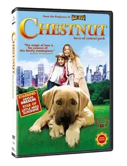 Watch and Download Chestnut: Hero of Central Park 11